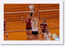 vs LawSouth * (274 Slides)